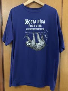山*水様 コスタリカ スロース Tシャツのサムネイル