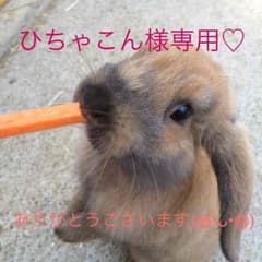 ひちゃこん様専用♡のサムネイル