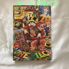 とじ込み付録付き 週刊少年ジャンプ 2026年33号 ワンピースカード