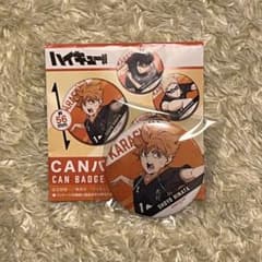 하이큐 쓰레기 버려진 장소의 결전 캔 배지 Vol.2 카라스노 고교 히나타 쇼요 단품