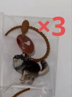専用のサムネイル