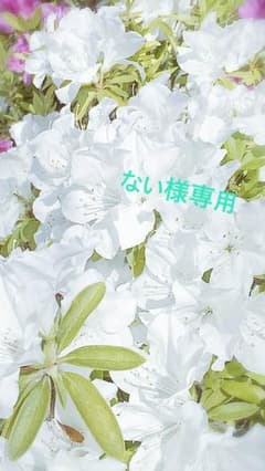 ない様専用ページのサムネイル