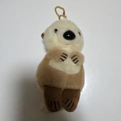 BIG ラッコ　ラッコBのサムネイル