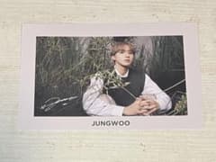 NCT127×NATURE REPUBLIC ポストカード ジョンウのサムネイル