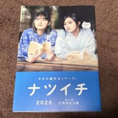 集英社文庫 ナツイチ 2026 小冊子 乃木坂46 井上和 遠藤さくら 匿名
