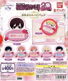 桜蘭高校ホスト部 おなまえなふだバッジ 須王環ガチャのサムネイル