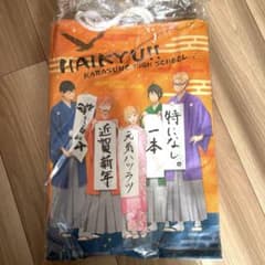미개봉 하이큐 카라스노 후쿠부쿠로 에마 부적 태피스트리 카게야마 히나타 츠키시마