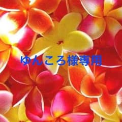 ゆんころ様専用☆SLYLANG☆チョーカーネックレスのサムネイル