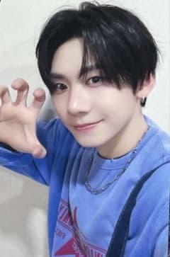 AHOF アホプ ヨントン トレカ パクハン - メルカリ