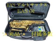 美品】アルトサックス EYS ケース付き 初心者セット 即演奏可能 - メルカリ