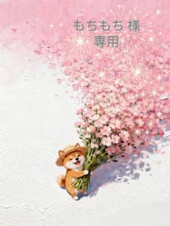 もちもち様　専用のサムネイル