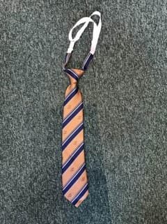 作新学院 制服 英進部 女子 ネクタイのサムネイル