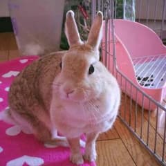 ☆かなた☆様専用のサムネイル