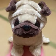リアル　パグ　ぬいぐるみ　ビッグサイズ 約５０cm 美品 リアル パグ ぬいぐるみ ビッグサイズ 約50cm 美品 - メルカリ