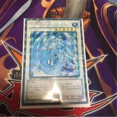 ブリューナク シク 最終値下げ 特価品 説明欄必読のサムネイル
