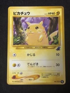 ポケモンカード旧裏 ピカチュウ/ピチュー-イントロパックNeo ワニノコワーク ピチュー イントロパック: 旧裏[neoI No.172](イントロパック☆neo)の