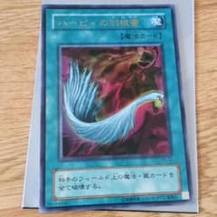 ハーピィの羽箒のサムネイル