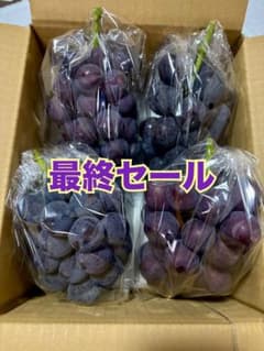 山梨県笛吹市産 種無し巨峰 4房 2k 最終セール中 - メルカリ