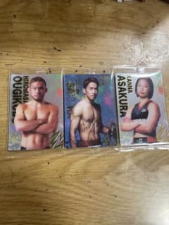 rizin ウエハースのサムネイル