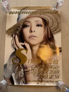 安室奈美恵　10点まとめ売り　写真1〜11で確認※バラ売り不可 激レア】安室奈美恵 ポスターまとめ売り29枚 - メルカリ