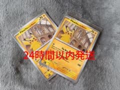 Pikachu at the Museum ピカチュウ ロンドン自然史博物館 - メルカリ
