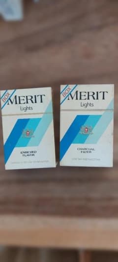 MERIT Lights ダミー模型 2個セットのサムネイル