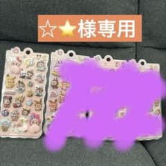 ☆⭐️様専用のサムネイル