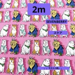 【未使用⭐︎限定品】⭐︎あおもり犬⭐︎さくら色 SEVENBERRY☆スケア☆面白モダン 犬祭り ピンクサクラ☆ラスト2枚