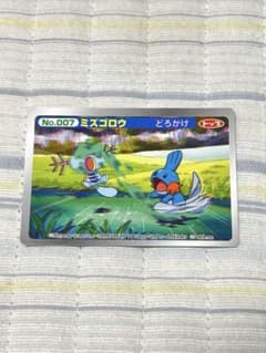 ポケモンアニメ版トップサン 3Dカード「ミズゴロウ」 - メルカリ