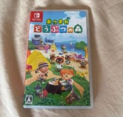 매달린 도둑의 숲 Switch 소프트