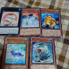 遊戯王 餅カエル 魔知ガエルのサムネイル