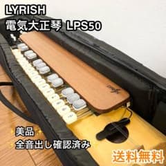 Lyrish ライリッシュ LPS50 電気大正琴 ケース付 動作確認済み 美品
