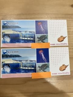 新江ノ島水族館 入場券 2枚セット 有効期限2024年12月31日のサムネイル