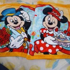 Tokyo Disney Resort 2019 Birthday Towel