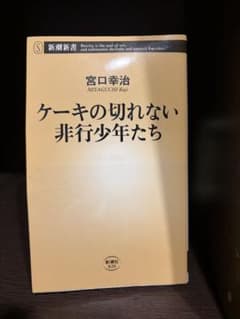 ケーキの切れない非行少年たち 宮口幸治 新潮新書のサムネイル