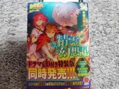 精霊幻想記24.闇の聖火のサムネイル