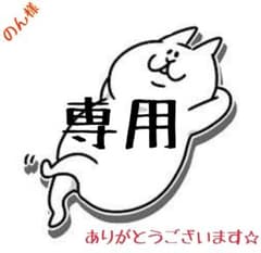 のん様専用のサムネイル