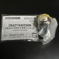 CRAZY RACCOONつまんでつなげてますこっと YYのサムネイル