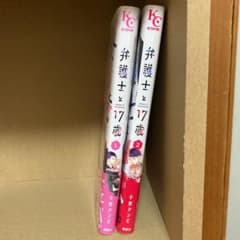 弁護士と17歳 1のサムネイル