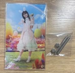 日向坂46 山下葉留花 ひな図書 アクリルアートパネル イースター