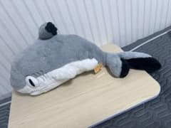 新品未使用 りくりゅう愛用 シャー子 サメぬいぐるみ 三浦璃来 木原