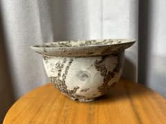 たけろうポット安西岳郎 芽の巣山 カタチ製作所 植木鉢 みやび鉢 限定 たけろうポット安西岳郎 芽の巣山 カタチ製作所 植木鉢 みやび鉢 限定