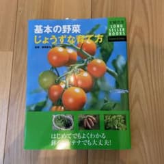 基本の野菜じょうずな育て方 : はじめてでもよくわかる鉢やコンテナでも大丈夫!のサムネイル