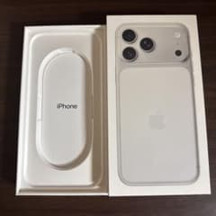 Apple iPhone 17 Pro Max 빈 상자