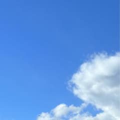 あお様専用のサムネイル