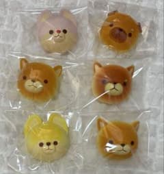 スクイーズ 犬 まとめ売り ⑤ - メルカリ
