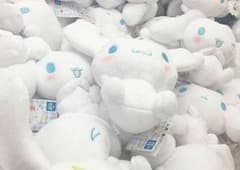 専用のサムネイル