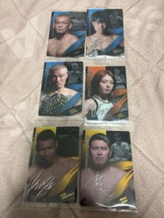 RIZIN 皇治 芦澤竜誠 福田龍彌 ケイト・ロータス 上田幹雄 エドポロキングのサムネイル