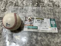 2025年NPB公式試合球 ファールボール 9/15阪神vs中日戦 - メルカリ