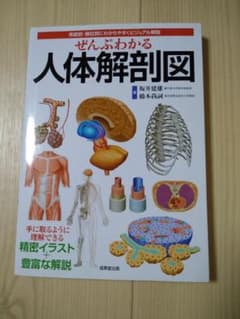 ぜんぶわかる人体解剖図 系統別・部位別にわかりやすくビジュアル解説のサムネイル